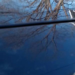 Meet your Posher, Terrell